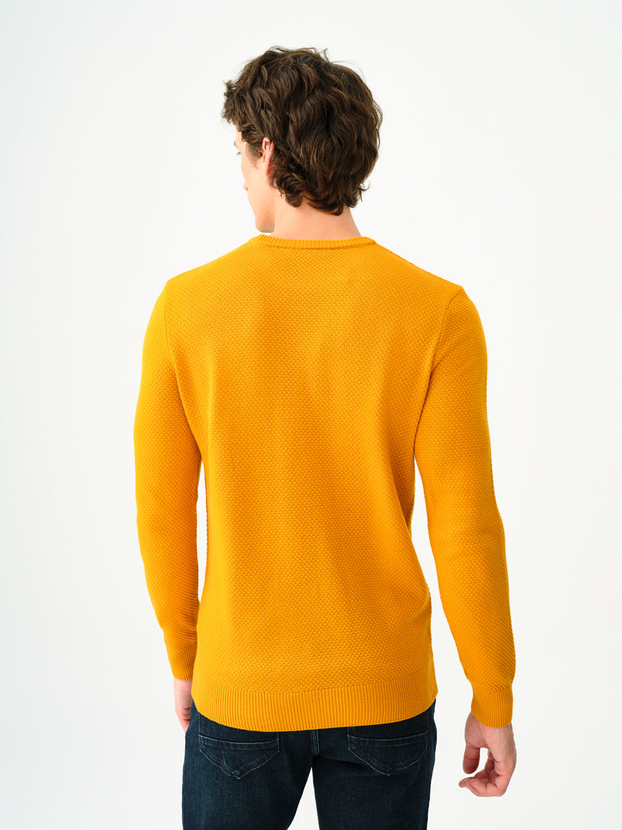 Regular Fit Men's Sweater
