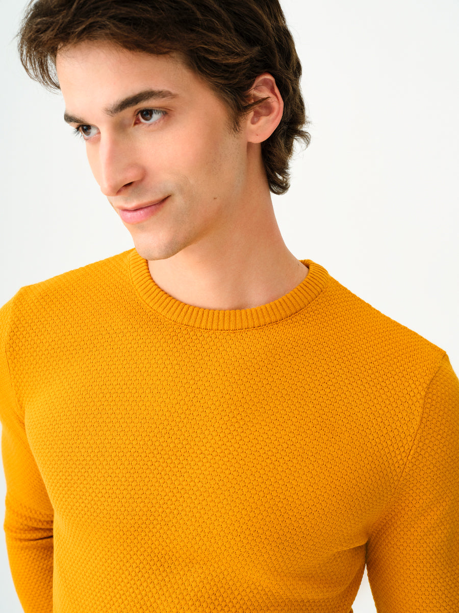 Regular Fit Men's Sweater