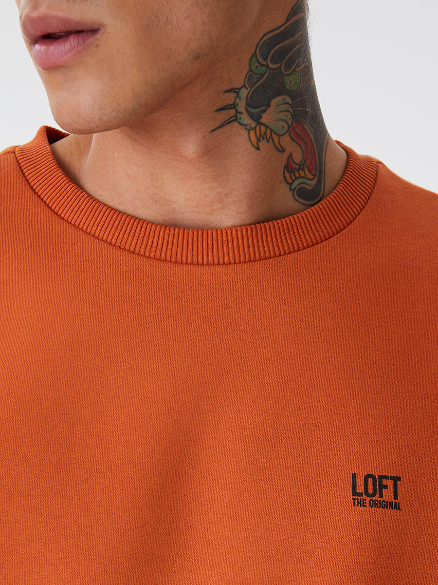 Regular Fit Men's Sweatshirt