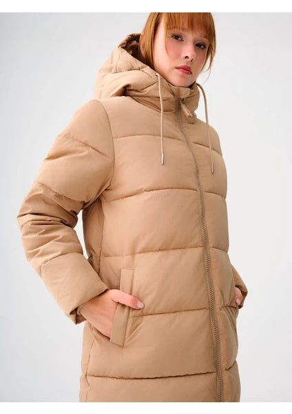 Loft Women's Coat
