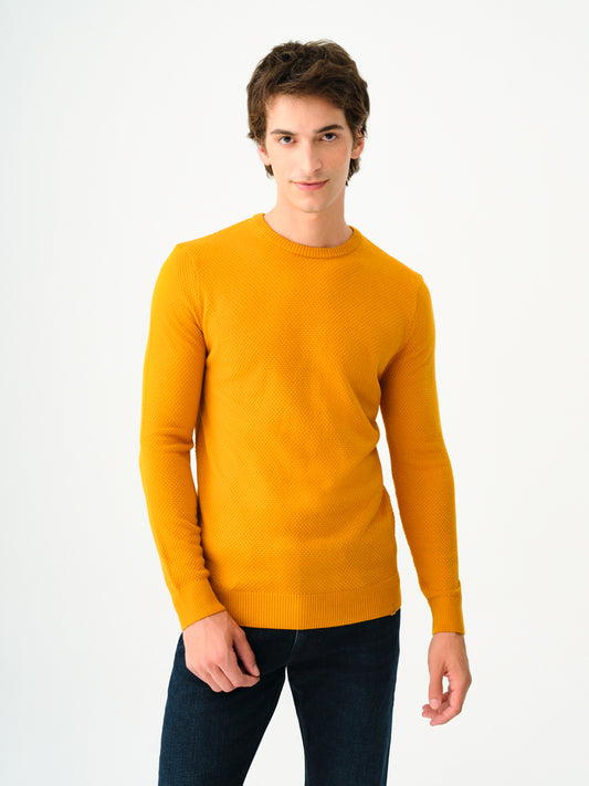 Regular Fit Men's Sweater