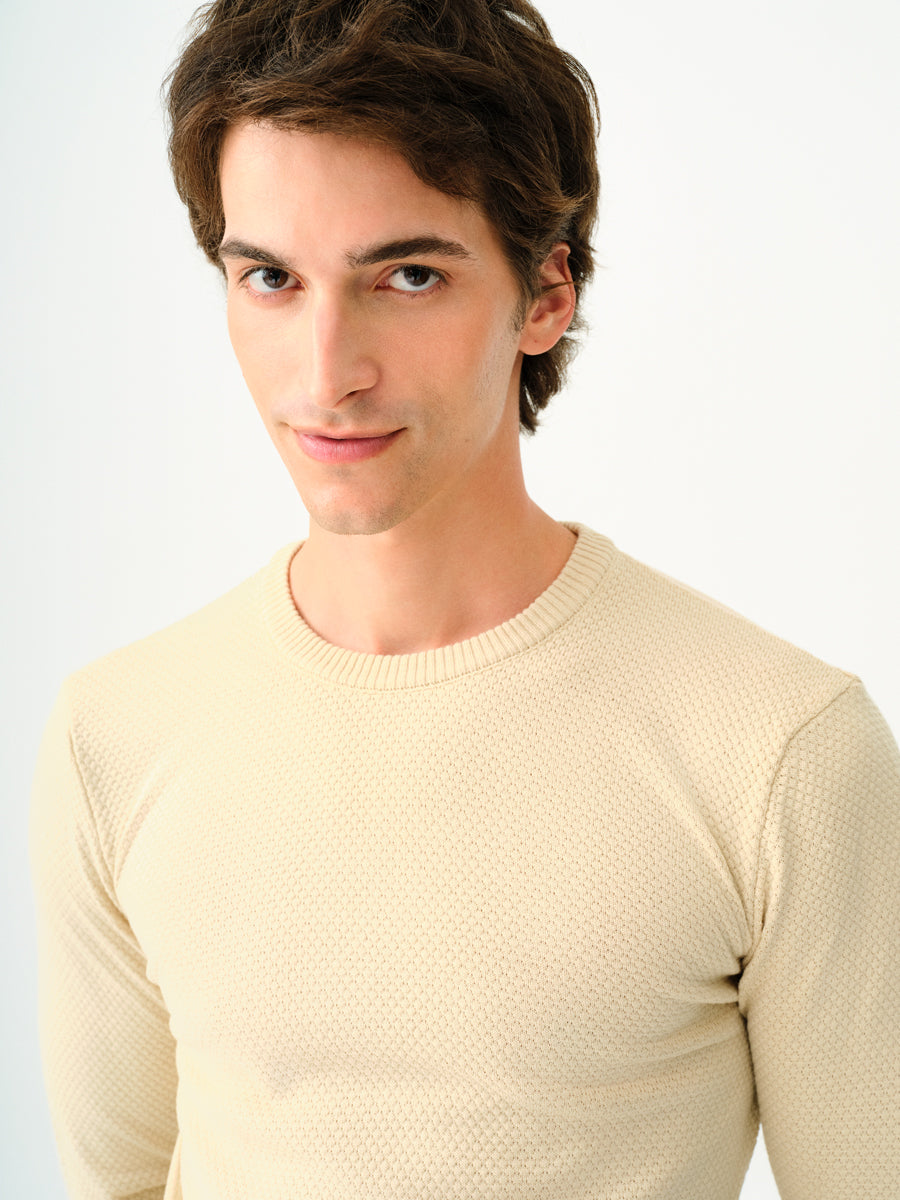 Regular Fit Men's Sweater