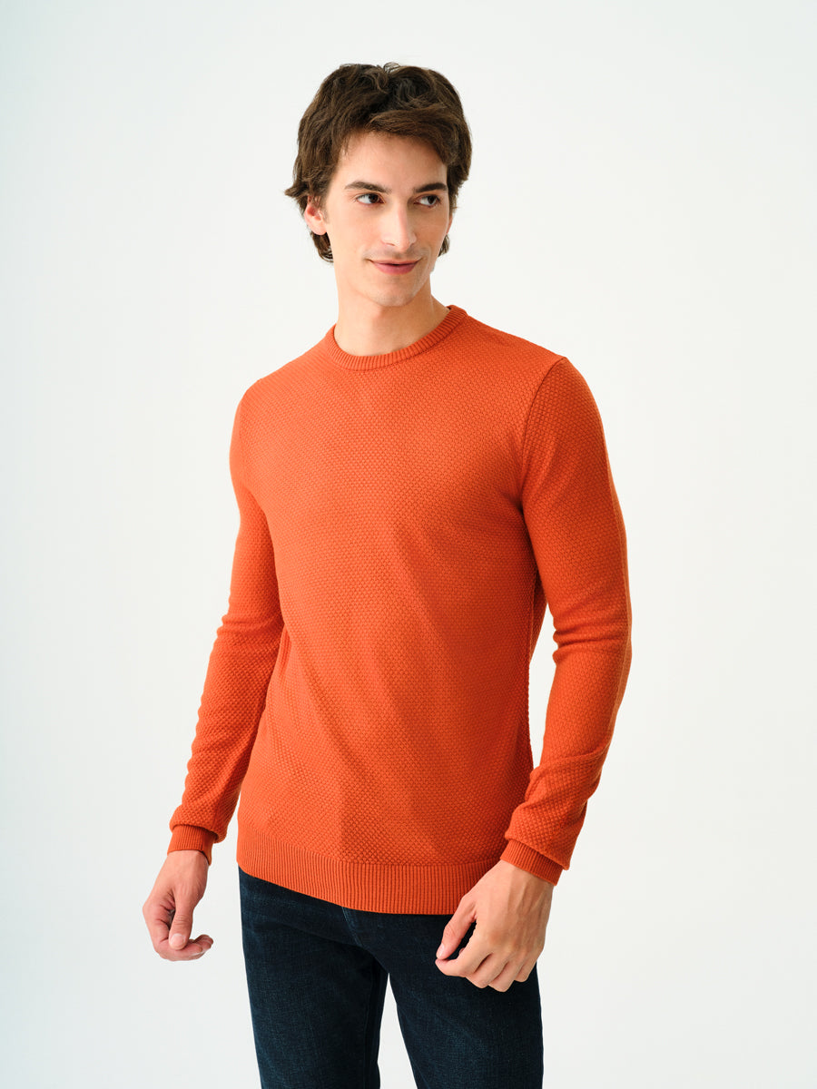 Regular Fit Men's Sweater