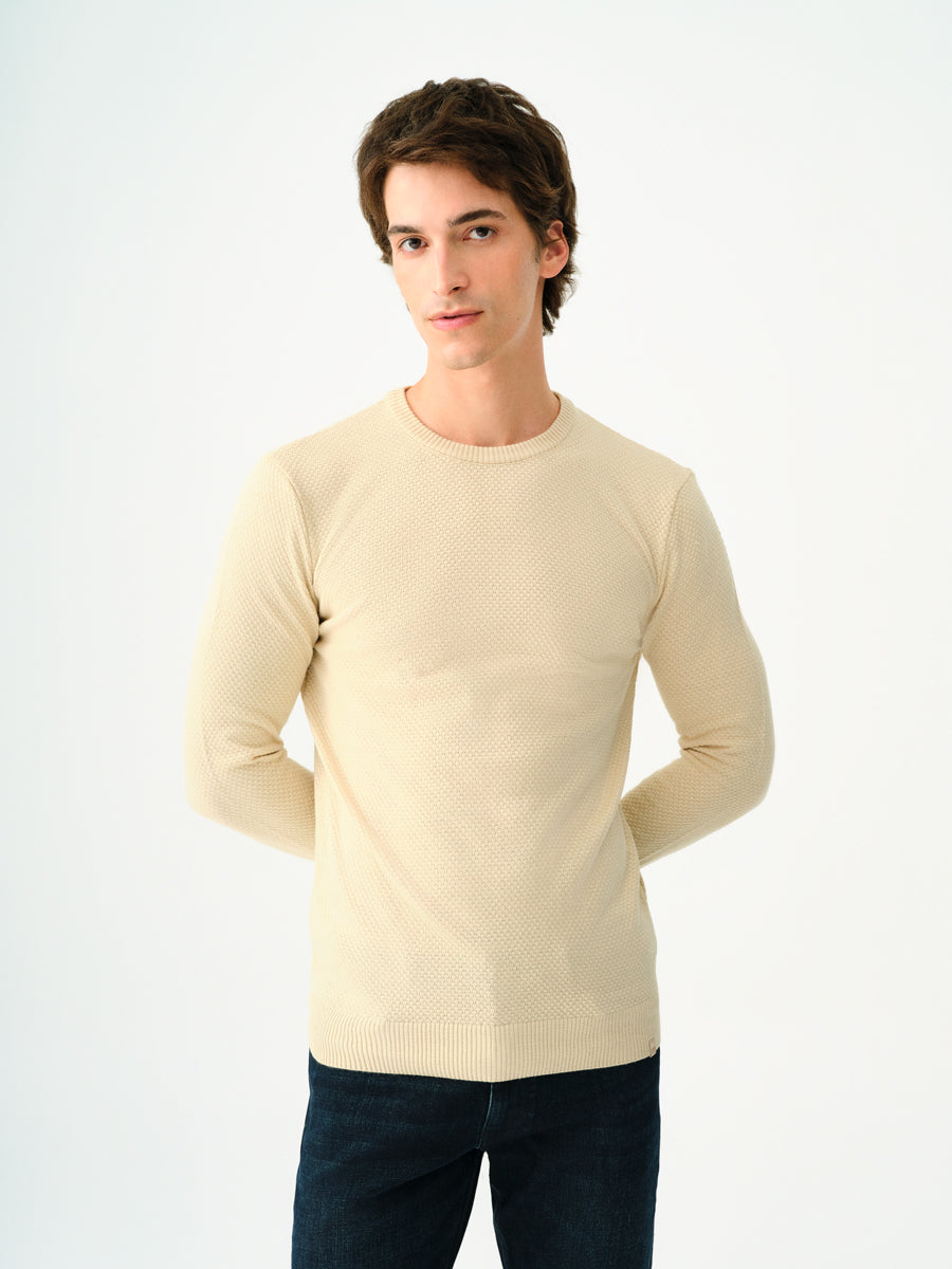 Regular Fit Men's Sweater